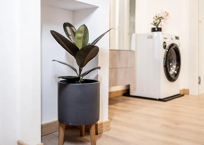 Lägenhet Nn Viale Xx Settembre *