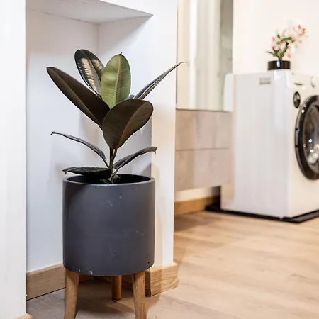 דירה Nn Viale Xx Settembre *